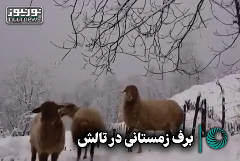برف زمستانی در تالش +فیلم