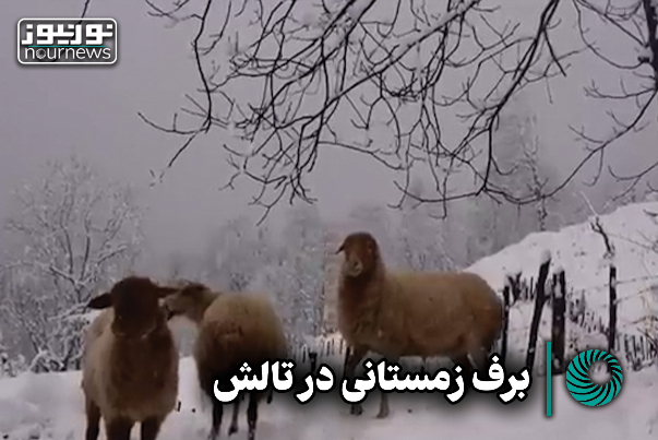 برف زمستانی در تالش +فیلم