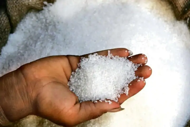 کشف 30 هزار تن شکر احتکار شده؛ چه سیگنال‌هایی موجب «اخلال در بازار» شد؟!