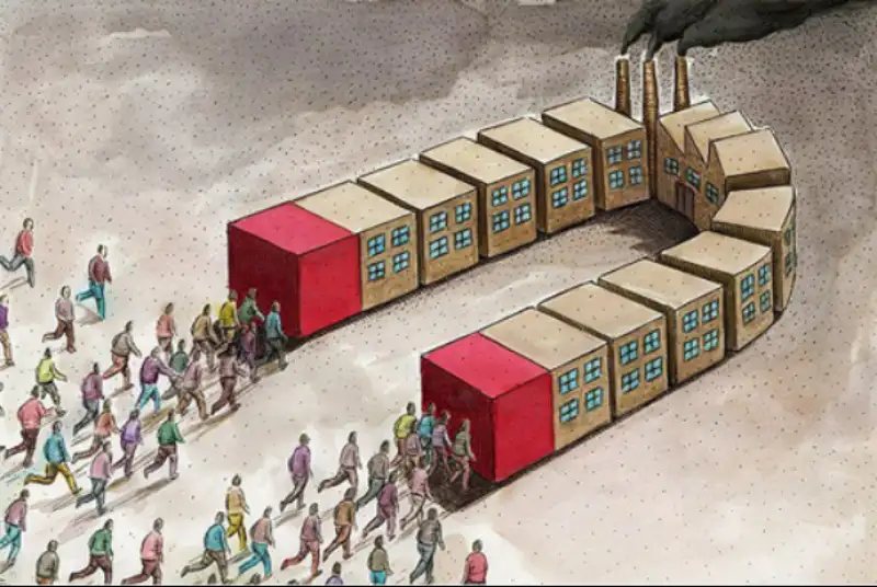 برندگان و بازندگان فرار مغزها