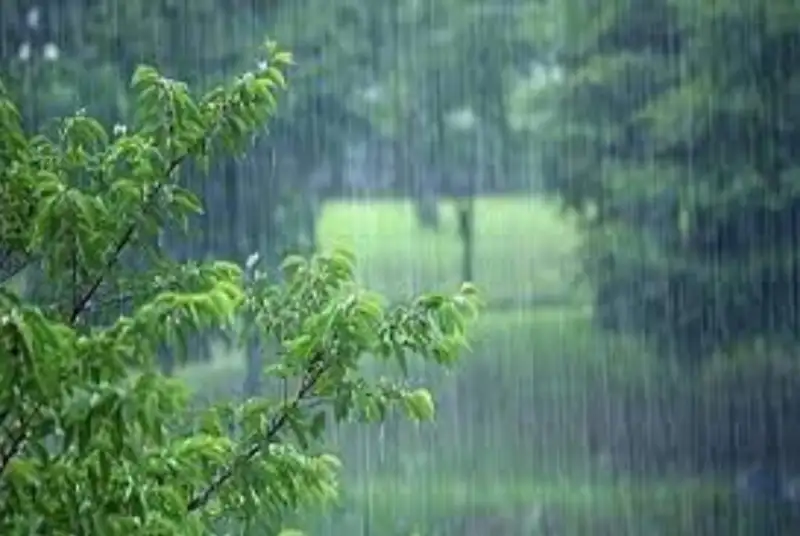 موج جدید بارش‌ها از عصر فردا + فیلم
