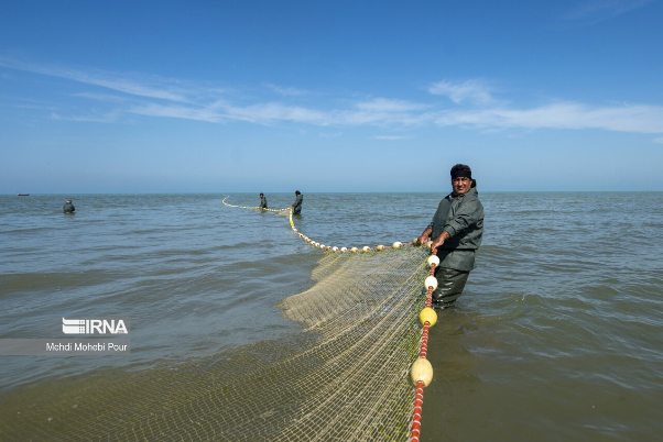 Iran to use UNIDO’s know-how in aquaculture to boost fishery industry