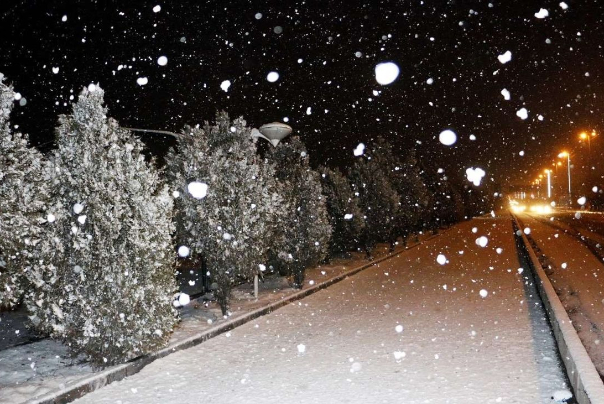 در 8 استان کشور برف و باران می بارد