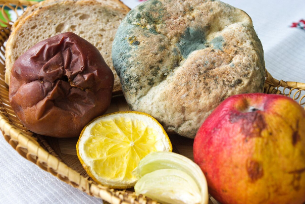 خطرات مصرف قسمت سالم میوه و غذای کپک زده!
