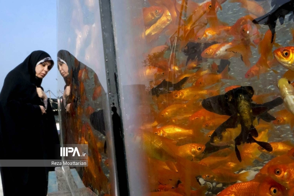 عکس های منتخب ایران، دوشنبه 21 اسفند 1402