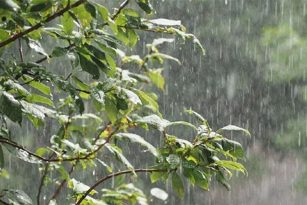 سامانه بارشی جدید از دوشنبه شب وارد کشور می‌شود +فیلم