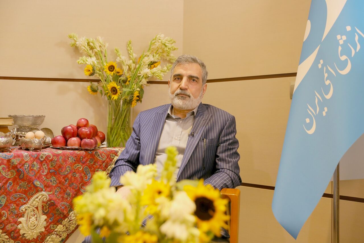 Sanctions turned into strong point for Iran nuclear industry: AEOI official