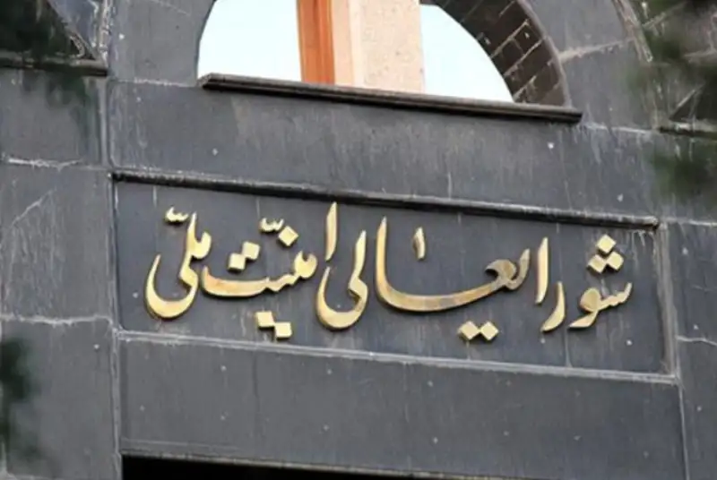 وقوع هر گونه هجوم خارجی در کشور تکذیب شد