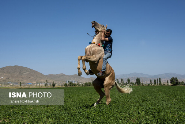 عکس های منتخب ایران، دوشنبه3 اردیبهشت 1403