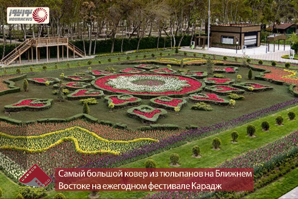 Самый большой ковер из тюльпанов на Ближнем Востоке на ежегодном фестивале Карадж.