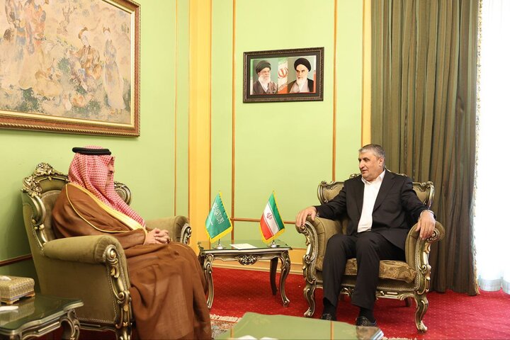 Iran ready to coop. with Saudi Arabia in nuclear field