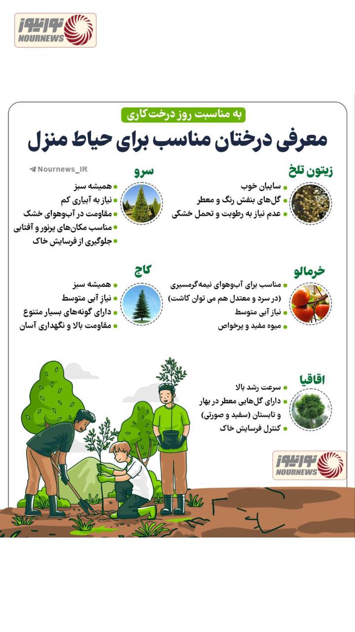 نوراینفو | معرفی درختان مناسب برای حیاط منزل