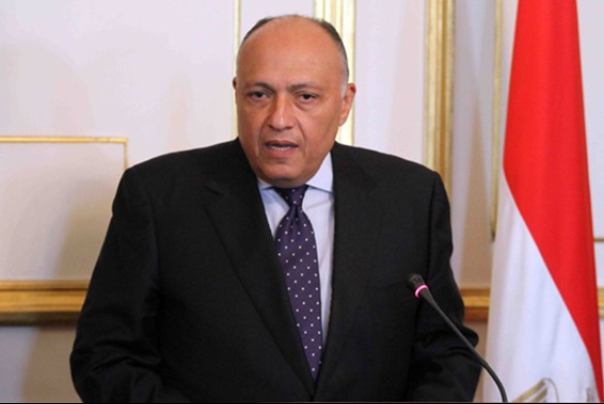 Egypt foreign minister arrives in Tehran