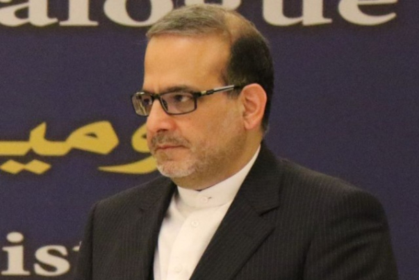 واکنش سخنگوی سابق دبیرخانه شورای عالی امنیت ملی به اظهارات واعظی