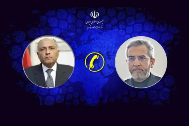 رایزنی «علی باقری» با وزیر خارجه مصر