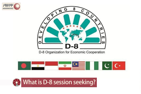 What is D-8 session seeking?