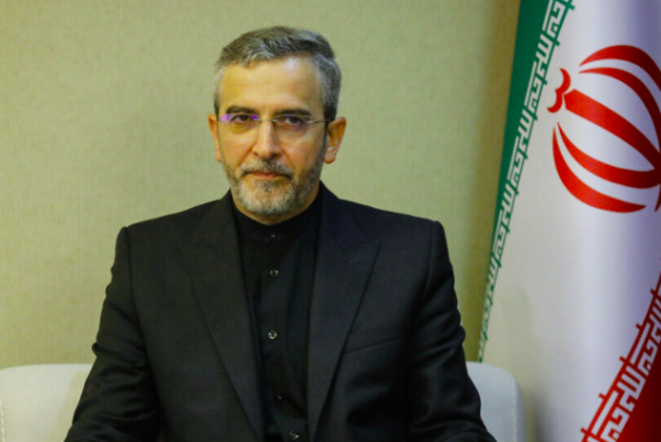 Bagheri Kani: ACD ministers' meeting shows Iran's determination to strengthen multilateralism