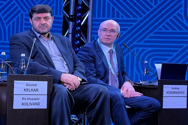 Iran attends BRICS Civil Forum in Russia