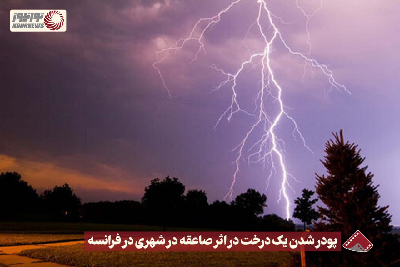 نورنما | پودر شدن یک درخت در اثر صاعقه در شهری در فرانسه +فیلم
