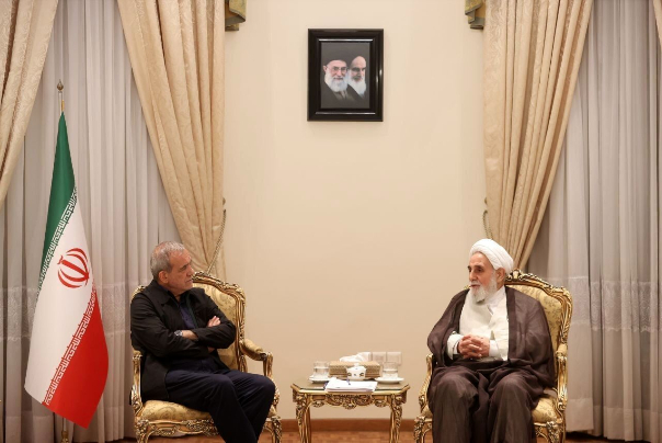 دیدار «ناطق‌نوری» با «پزشکیان»