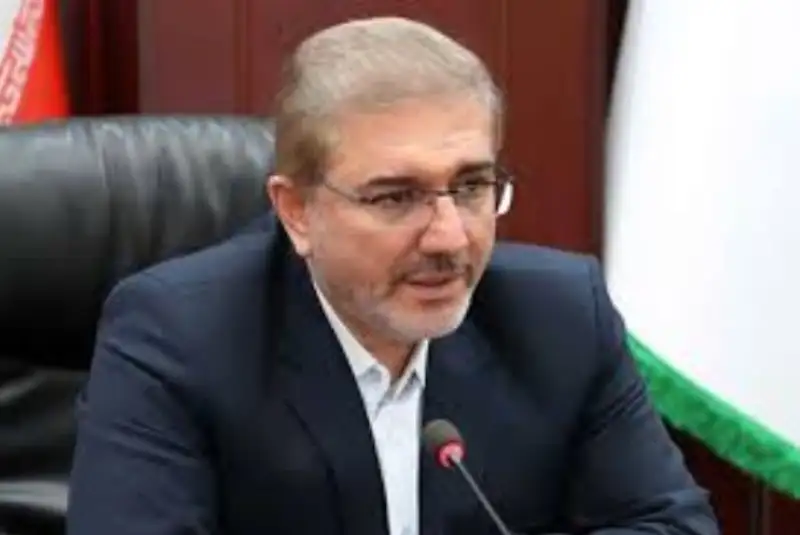 حذف ارز ترجیحی تأثیری بر قیمت برنج داخلی ندارد