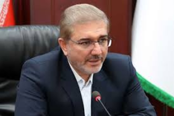 حذف ارز ترجیحی تأثیری بر قیمت برنج داخلی ندارد