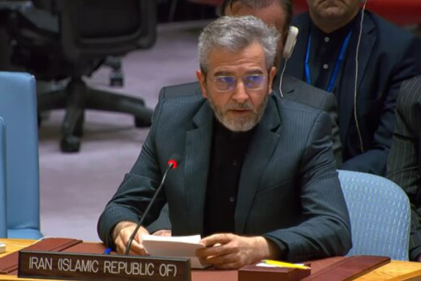 Багери: Мы продолжаем укреплять многосторонность во внешней политике Ирана