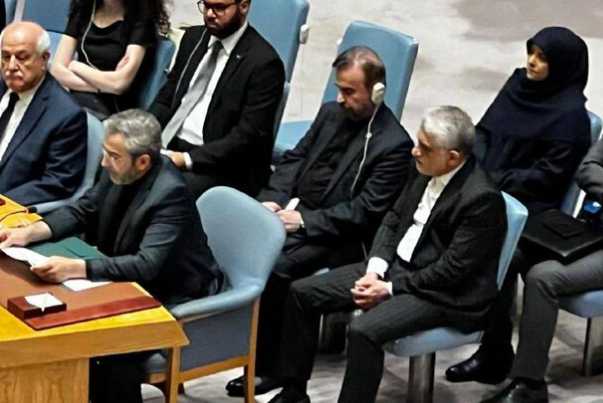 Iran urges UN Security Council action to halt Gaza genocide