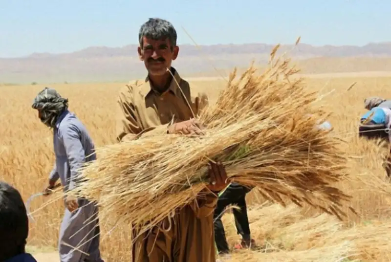آب‌باریکه سرمایه‌گذاری دربخش کشاورزی