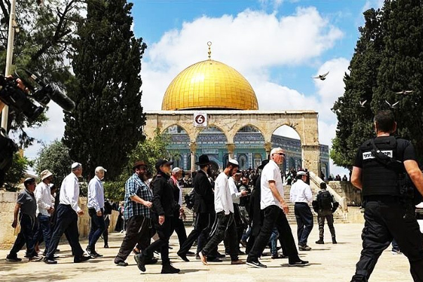 ממשלת הכיבוש מקצה כספים לקידום סיורי תלמוד באל-אקצא