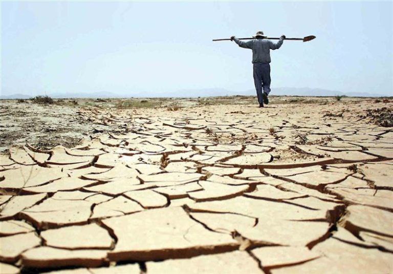 پاییز امسال، پادشاه فصل های زرد و خشک
