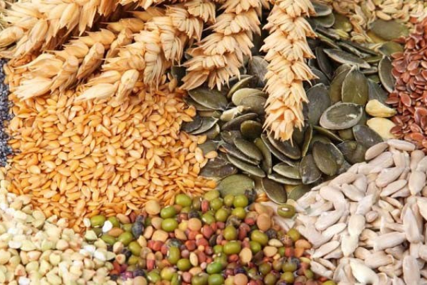 نرخ خرید تضمینی 6 کالای اساسی اعلام شد