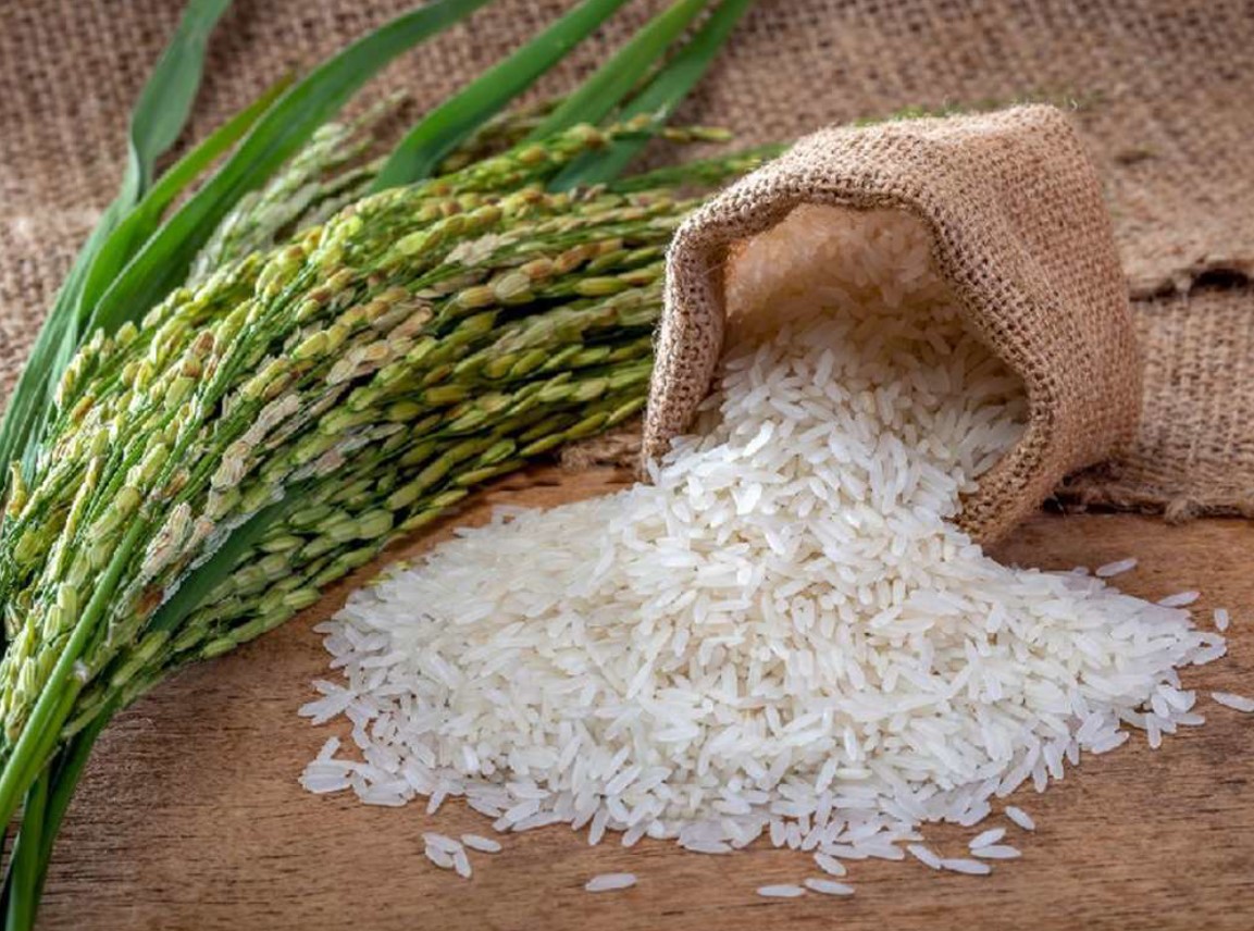 Iran expects bumper rice harvest this year