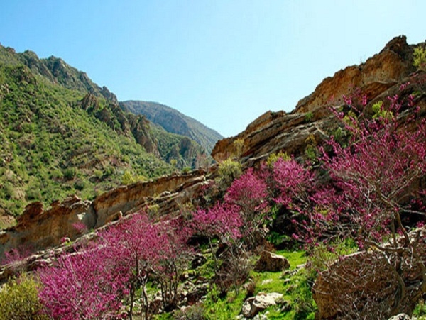 Exploring the enchantment of Arghavan Valley