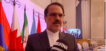 BRICS capable of countering US unilateralism: Iranian official