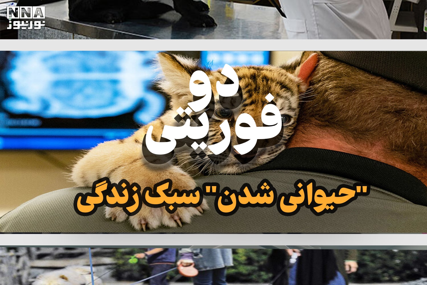 دو فوریتی | 
