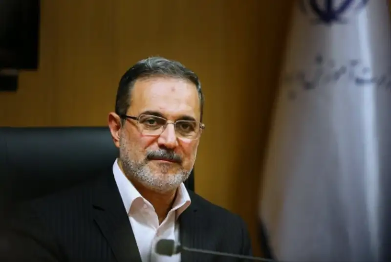 سیدمحمد بطحائی رئیس سازمان امور اجتماعی کشور شد