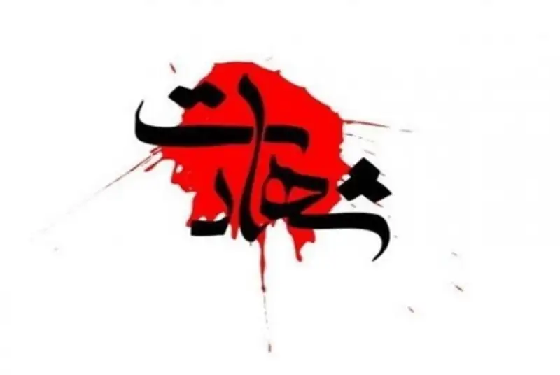شهادت دو بسیجی در سراوان