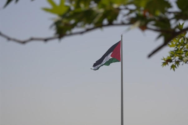 بزرگترین پرچم فلسطین در تهران به اهتزاز درآمد