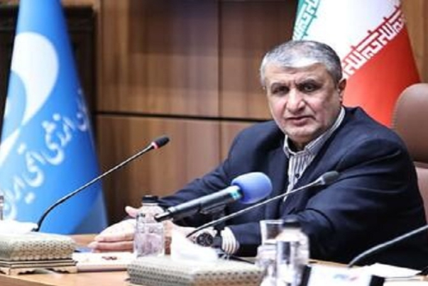 Эслами: Иран обладает интегрированным потенциалом в атомной отрасли