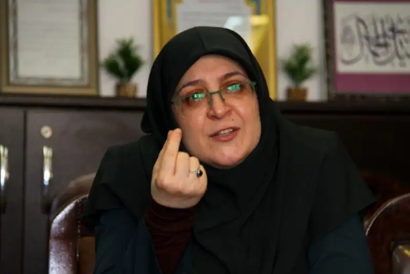 مهاجرانی: مردم در پویش «دو درجه کمتر» شرکت کنند