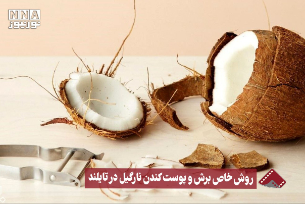 نورنما | روش خاص برش و پوست کندن نارگیل در تایلند +فیلم