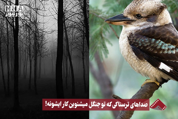 نورنما | صداهای ترسناکی که تو جنگل میشنوین کار ایشونه! +فیلم