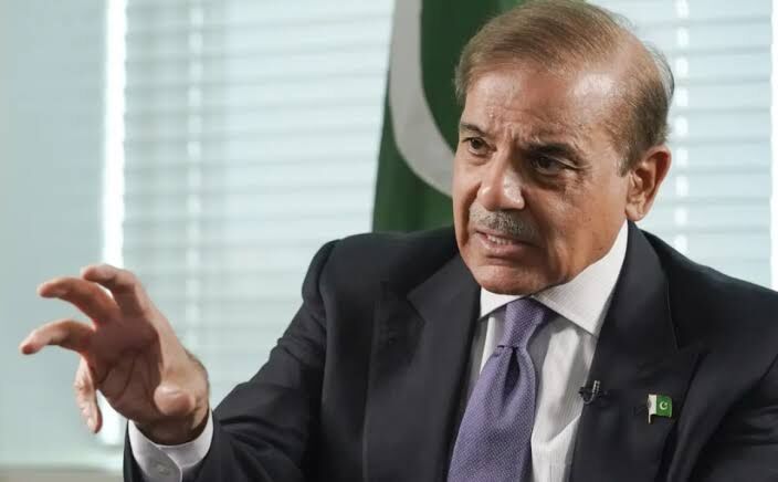Israel committed worst crimes in 2024: Pakistan PM
