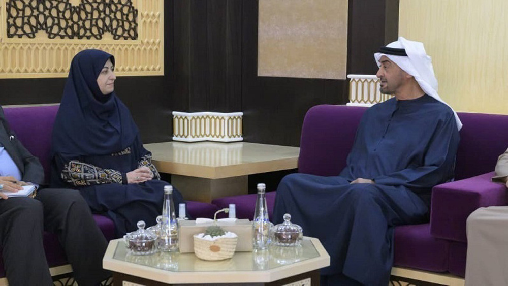 Iran's vice president discusses environmental challenges with UAE president