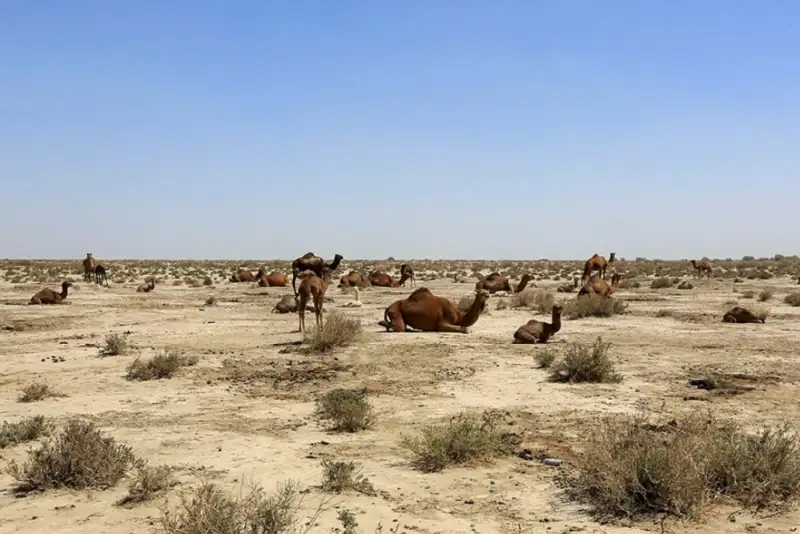 جازموریان امیدی به برزخ پس از مرگ هم ندارد