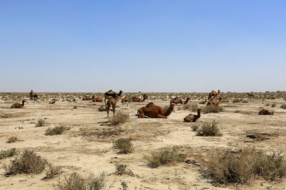 جازموریان امیدی به برزخ پس از مرگ هم ندارد