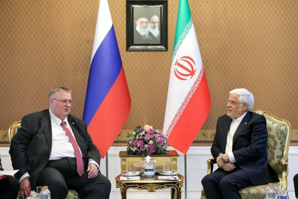 دیدار عارف با معاون نخست‌وزیر روسیه