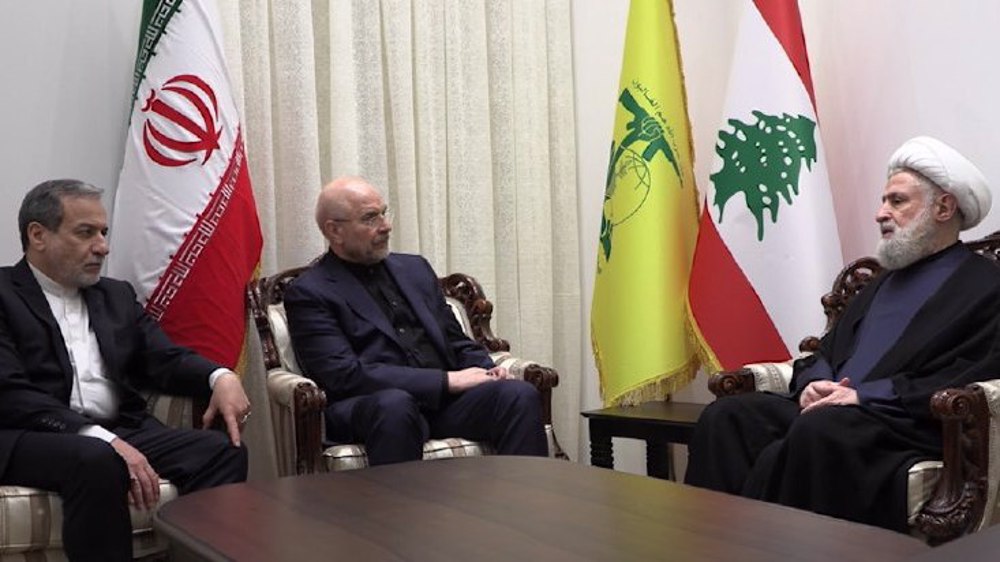 Iran’s parliament speaker, foreign minister meet Hezbollah chief in Beirut