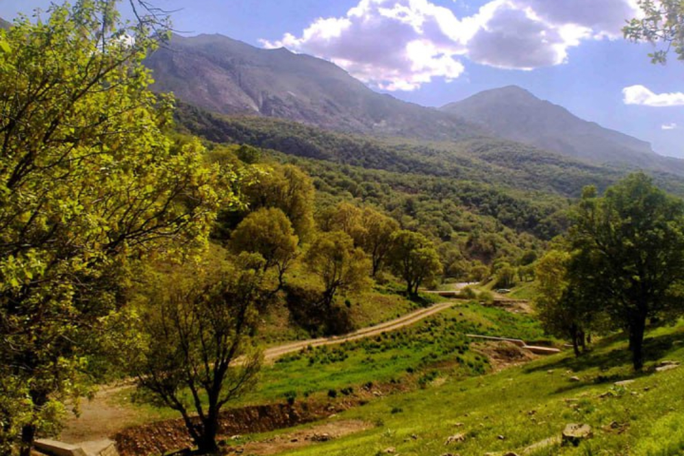 نورنما | بهار در کوهستان زاگرس لرستان،بسطام